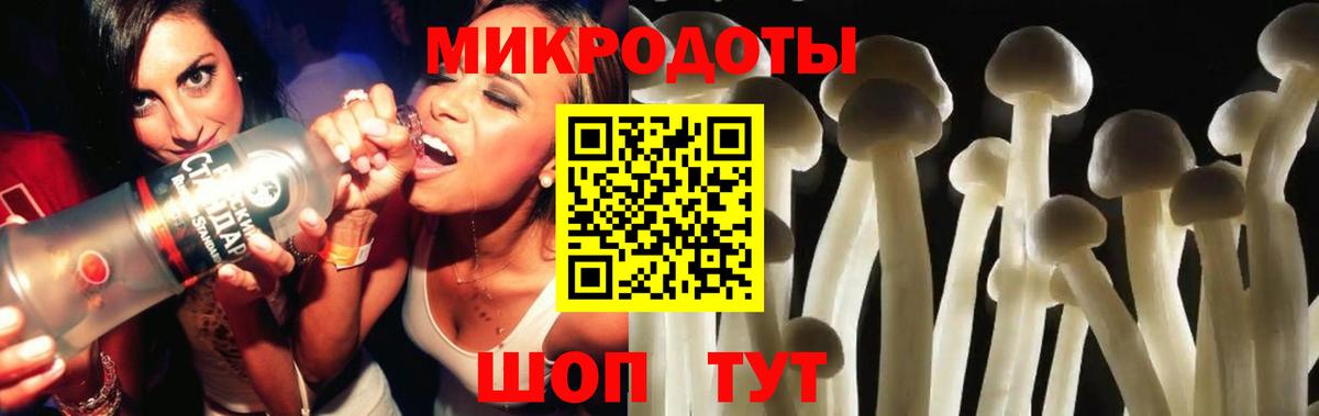Черкесск  что такое наркотик  Вход с VPN  Галлюциногенные грибы Psilocybine cubensis 